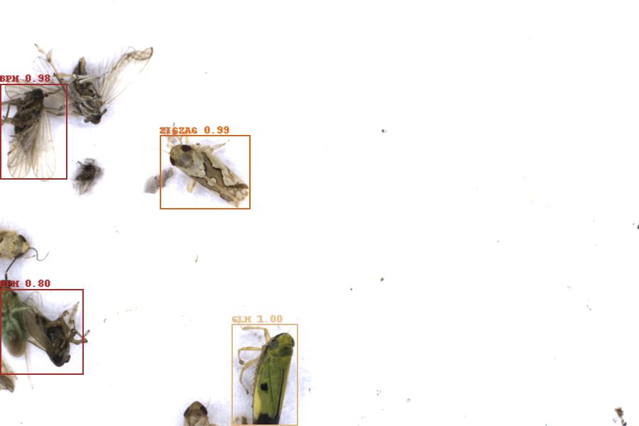 Image 9